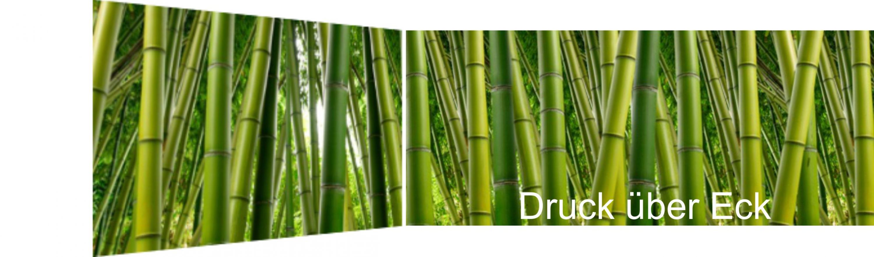 Rückwand "Bambusdschungel"